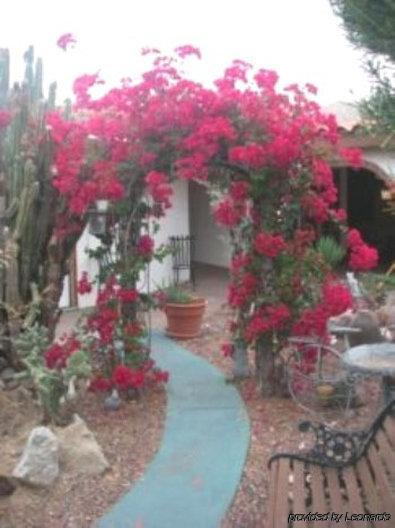 Tuscan Springs Hotel & Spa Desert Hot Springs Chambre photo